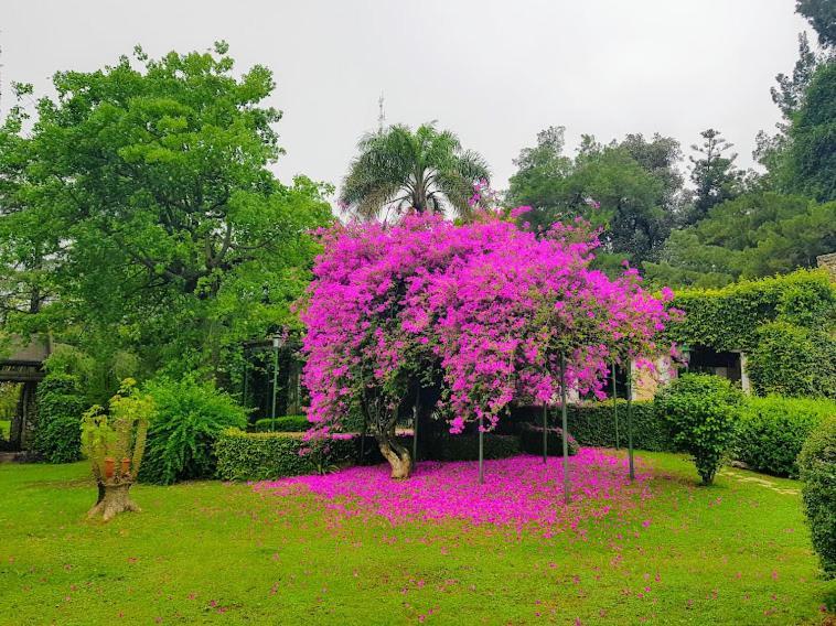 Terrazas Parana Villa Ngoại thất bức ảnh